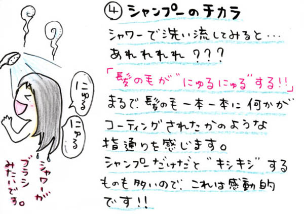 シャンプーの力