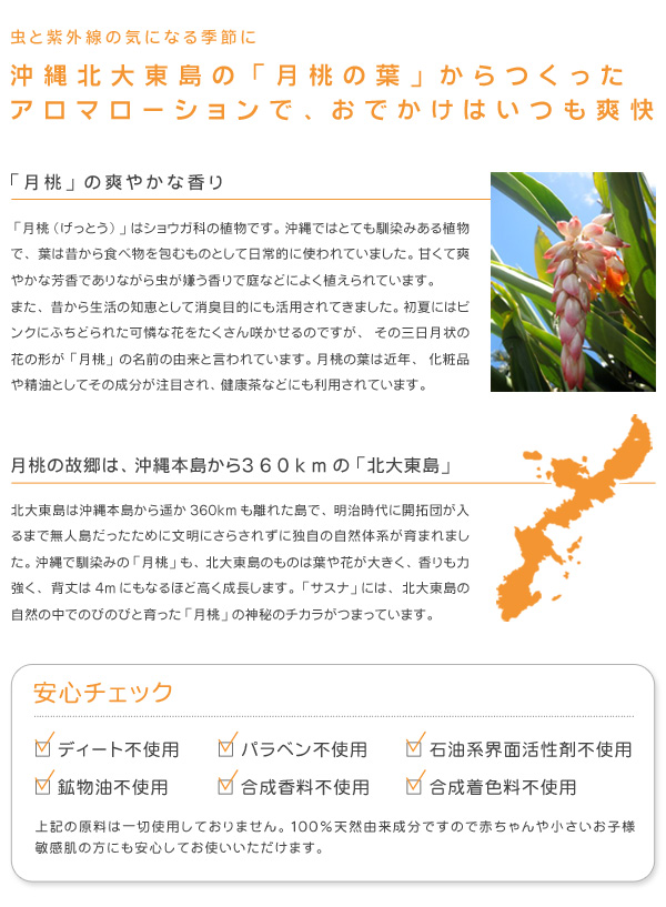 サスナ