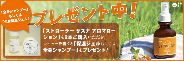 サスナキャンペーンバナー